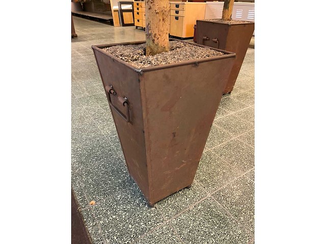 Kunstplant esdoorn | 220 cm - afbeelding 5 van  7