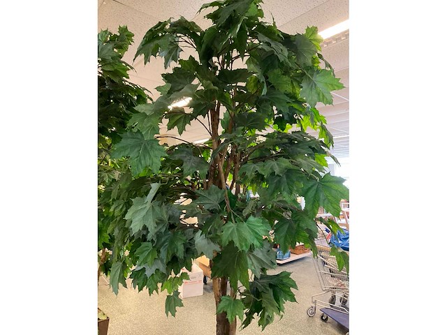 Kunstplant esdoorn | 220 cm - afbeelding 7 van  7