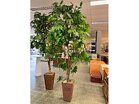 Kunstplant esdoorn | 240 cm - afbeelding 2 van  7