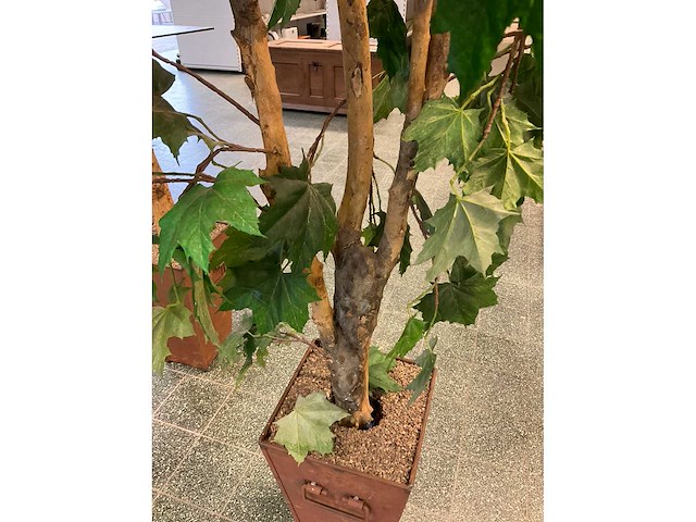 Kunstplant esdoorn | 240 cm - afbeelding 4 van  7