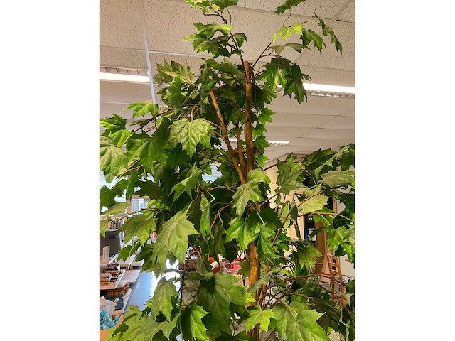 Kunstplant esdoorn | 240 cm - afbeelding 6 van  7