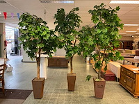 Kunstplant esdoorn | 260 cm - afbeelding 1 van  8