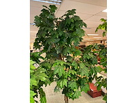 Kunstplant esdoorn | 260 cm - afbeelding 3 van  8