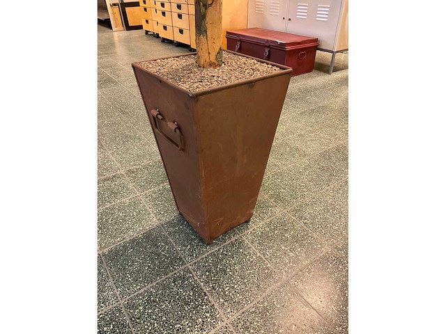 Kunstplant esdoorn | 260 cm - afbeelding 4 van  8