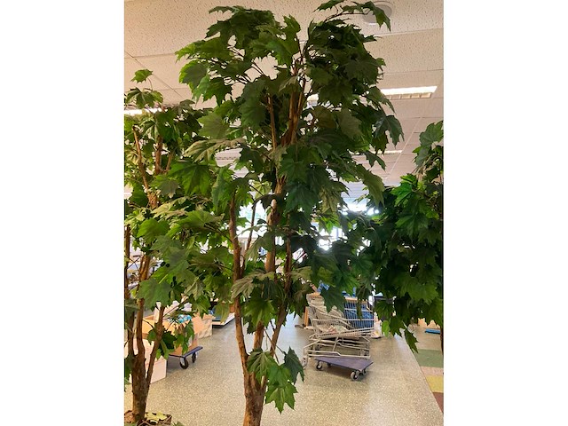 Kunstplant esdoorn | 260 cm - afbeelding 7 van  8