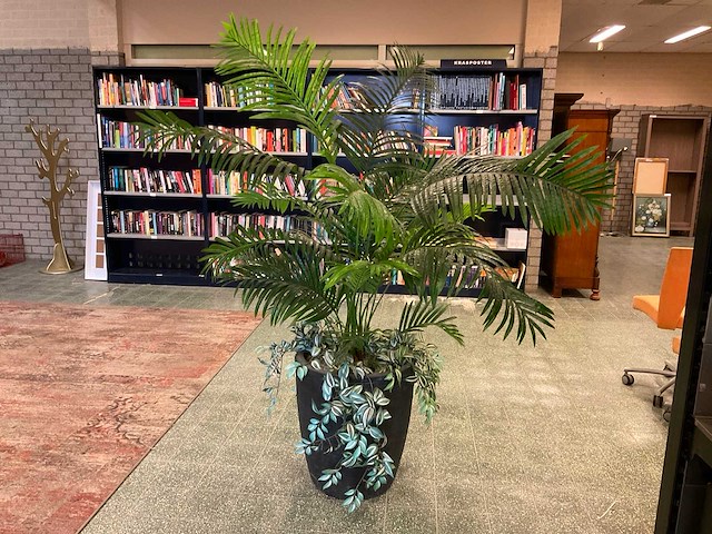 Kunstplant goudpalm | 195 cm - afbeelding 1 van  6