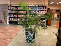 Kunstplant goudpalm | 195 cm - afbeelding 1 van  6