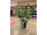 Kunstplant goudpalm | 195 cm - afbeelding 2 van  6