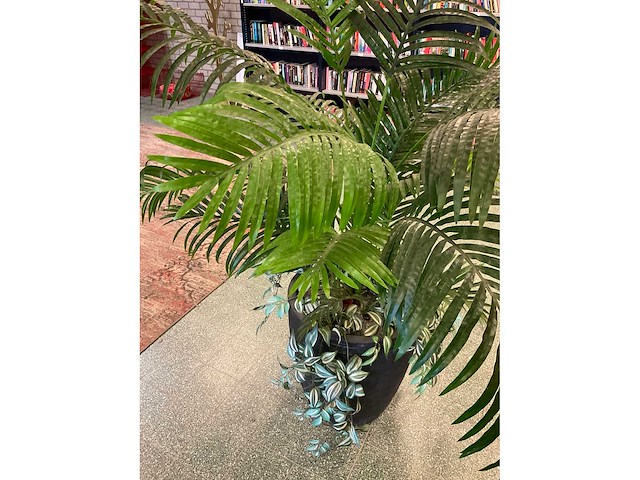 Kunstplant goudpalm | 195 cm - afbeelding 3 van  6