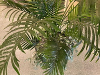 Kunstplant goudpalm | 195 cm - afbeelding 6 van  6