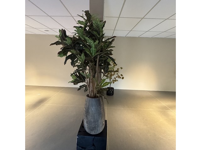 Kunstplant in houten vaas, croton tree - afbeelding 1 van  7