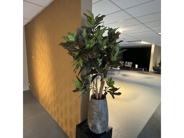 Kunstplant in houten vaas, croton tree - afbeelding 2 van  7
