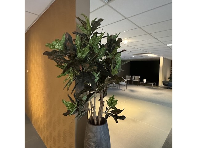 Kunstplant in houten vaas, croton tree - afbeelding 3 van  7