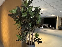 Kunstplant in houten vaas, croton tree - afbeelding 3 van  7