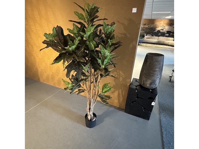 Kunstplant in houten vaas, croton tree - afbeelding 6 van  7