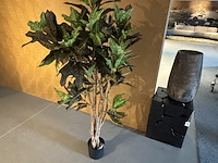 Kunstplant in houten vaas, croton tree - afbeelding 6 van  7