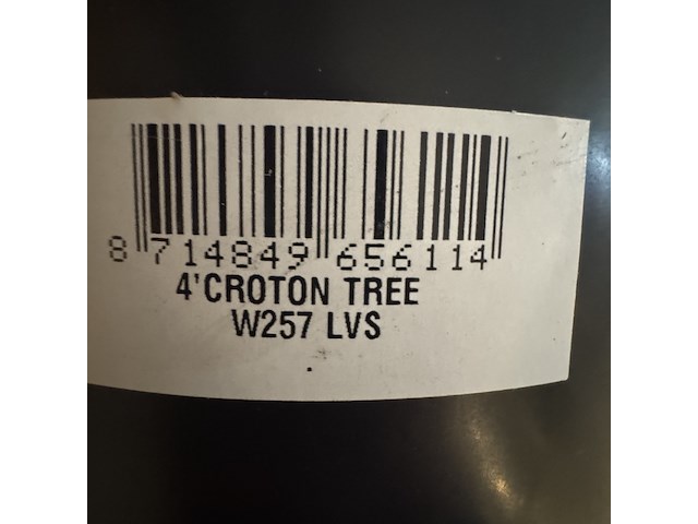 Kunstplant in houten vaas, croton tree - afbeelding 7 van  7