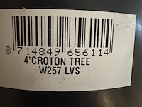 Kunstplant in houten vaas, croton tree - afbeelding 7 van  7