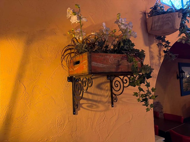 Kunstplant in kist met beugel (5x) - afbeelding 1 van  4