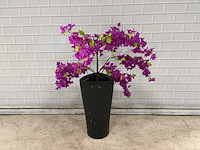 Kunstplant in kunststof pot - afbeelding 1 van  4