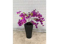 Kunstplant in kunststof pot - afbeelding 4 van  4