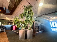 Kunstplant in metalen plantenbak (2x) - afbeelding 1 van  4