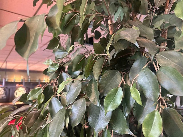 Kunstplant in metalen plantenbak (2x) - afbeelding 2 van  4