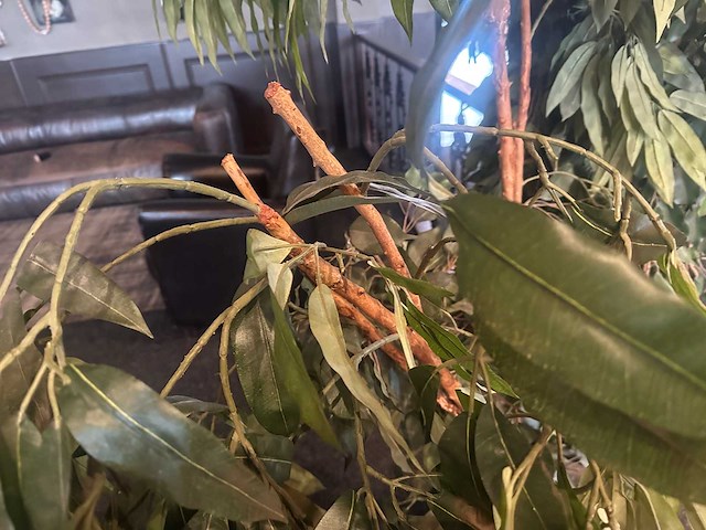 Kunstplant in metalen plantenbak (2x) - afbeelding 3 van  4