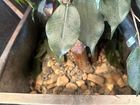 Kunstplant in metalen plantenbak (2x) - afbeelding 4 van  4