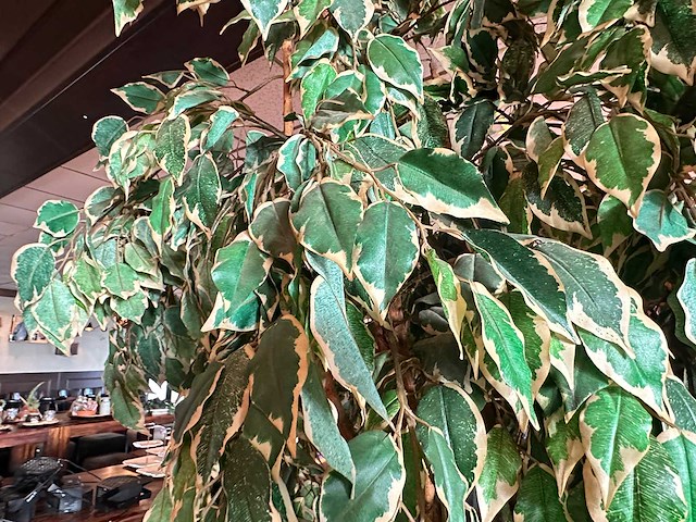 Kunstplant in metalen plantenbak (4x) - afbeelding 3 van  4