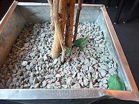 Kunstplant in metalen plantenbak - afbeelding 3 van  4