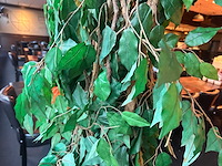 Kunstplant in metalen plantenbak - afbeelding 4 van  4