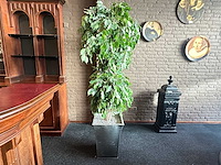 Kunstplant in metalen plantenbak - afbeelding 1 van  3