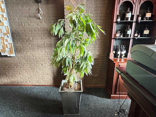 Kunstplant in metalen plantenbak - afbeelding 1 van  3