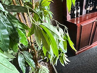 Kunstplant in metalen plantenbak - afbeelding 2 van  3