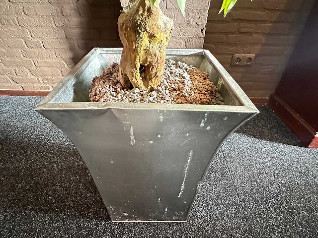 Kunstplant in metalen plantenbak - afbeelding 3 van  3
