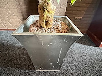 Kunstplant in metalen plantenbak - afbeelding 3 van  3