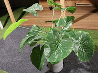 Kunstplant in pot - 118cm (h) - afbeelding 2 van  3
