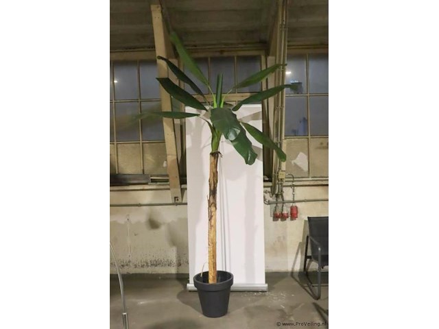 Kunstplant in pot - 165x260cm - afbeelding 1 van  3