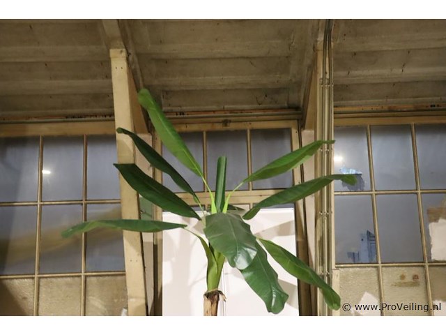 Kunstplant in pot - 165x260cm - afbeelding 2 van  3