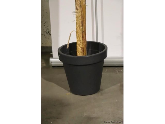 Kunstplant in pot - 165x260cm - afbeelding 3 van  3