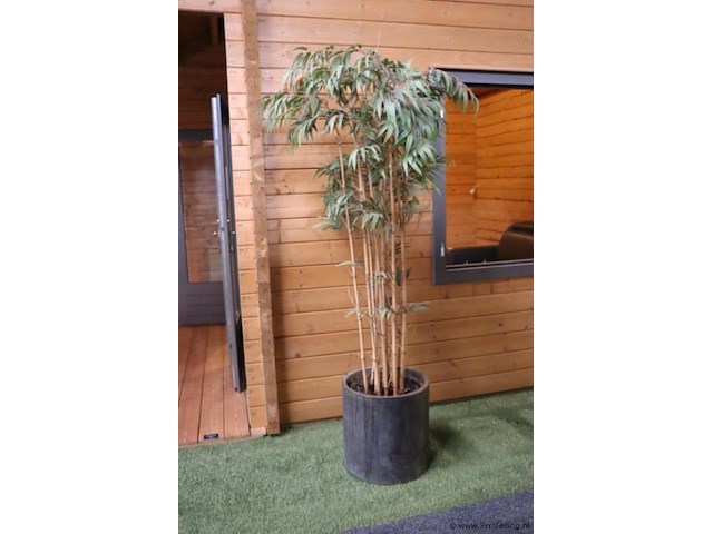 Kunstplant in pot - 210cm (h) - afbeelding 1 van  3