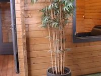 Kunstplant in pot - 210cm (h) - afbeelding 1 van  3