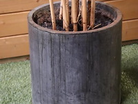 Kunstplant in pot - 210cm (h) - afbeelding 2 van  3