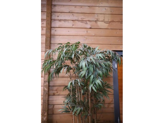 Kunstplant in pot - 210cm (h) - afbeelding 3 van  3