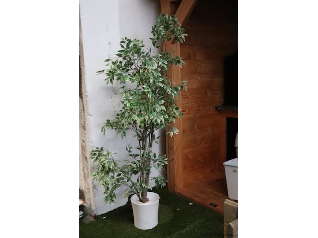 Kunstplant in pot - ø 27cm x 170cm (h) - afbeelding 1 van  3
