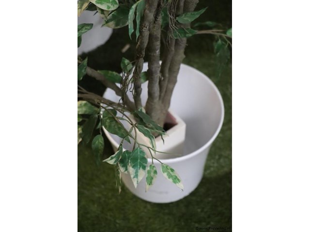 Kunstplant in pot - ø 27cm x 170cm (h) - afbeelding 2 van  3