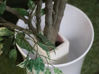 Kunstplant in pot - ø 27cm x 170cm (h) - afbeelding 2 van  3