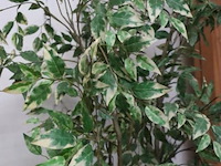 Kunstplant in pot - ø 27cm x 170cm (h) - afbeelding 3 van  3