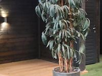 Kunstplant in pot - ø 50cm x 225cm (h) - afbeelding 1 van  4